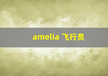 amelia 飞行员